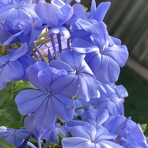 Meet your Posher, Alejandra